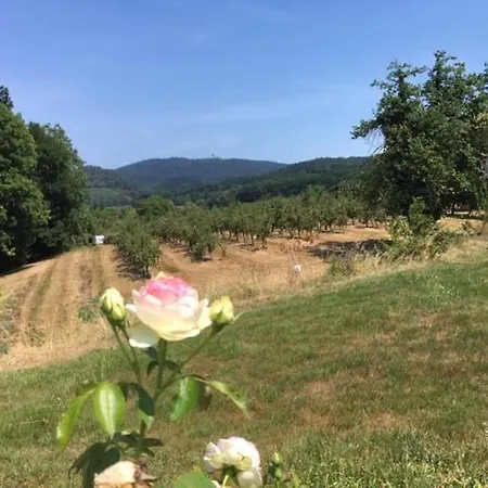 Apartamento Ruheoase Im Kirschblütental Schliengen