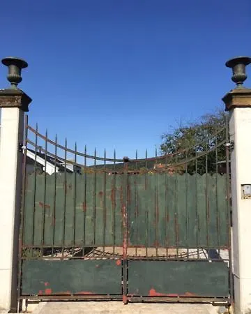 Ruheoase Im Kirschblütental