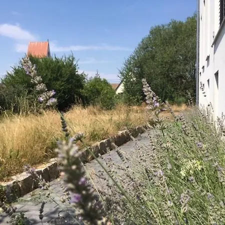 Ruheoase Im Kirschblütental *