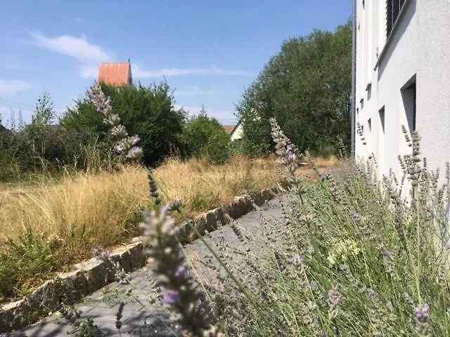 Ruheoase Im Kirschbluetental *